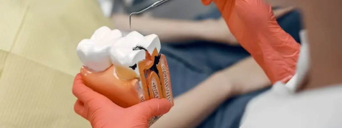 Demystifying Dental Education: Is There Surgery in BDS?